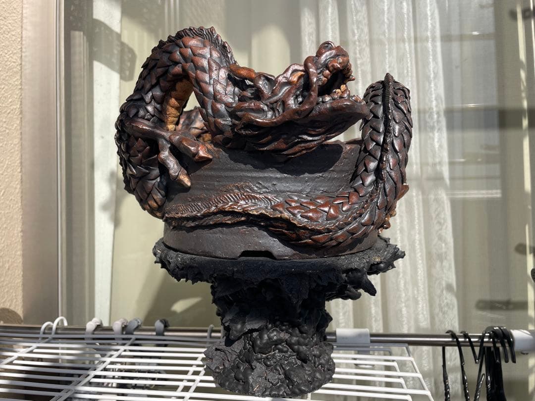 ドラゴン鉢　検】グラキリス パキプス アガベ 作家鉢