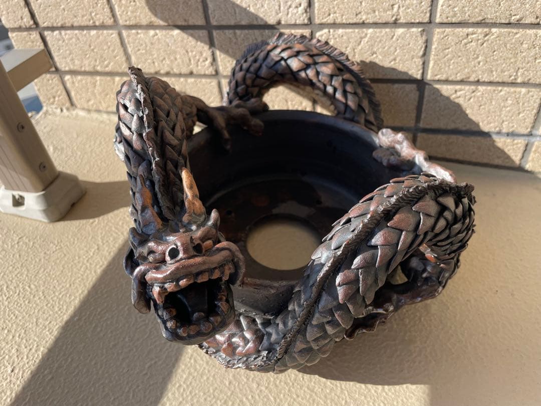 ドラゴン鉢　検】グラキリス パキプス アガベ 作家鉢