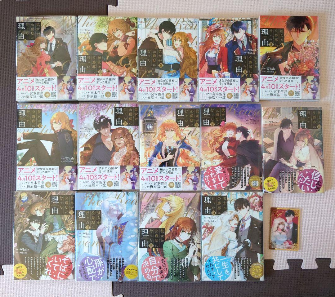 彼女が公爵邸に行った理由 全巻セット