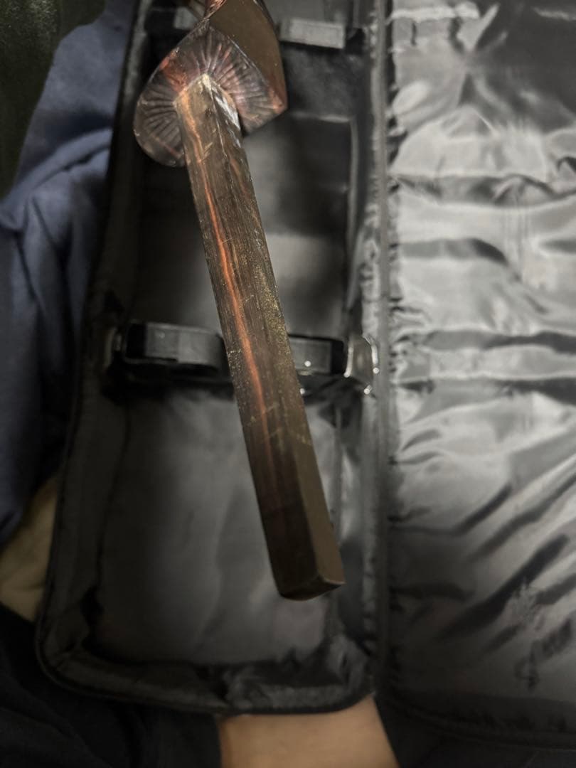 三線 蛇皮 ハードケース付