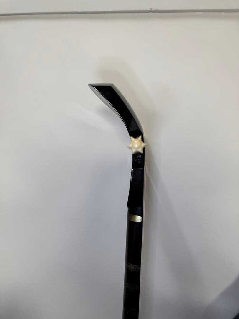 三線 蛇皮 ハードケース付