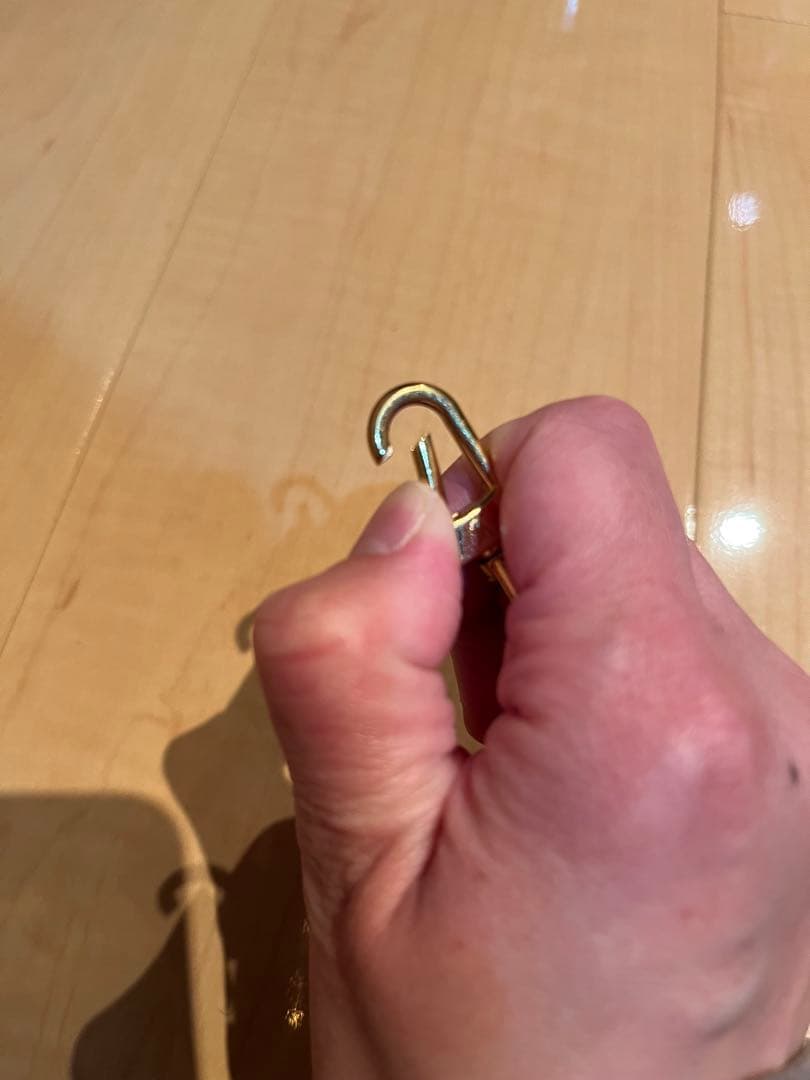 Louis Vuitton ポシェットアクセソワール