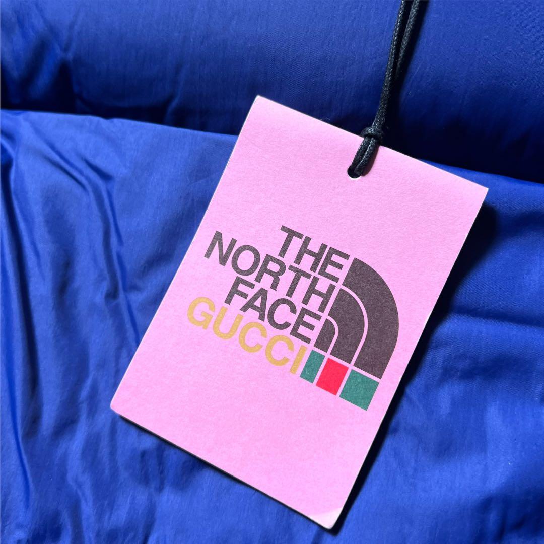 新品 正規品 GUCCI × THE NORTH FACE ダウンジャケット M