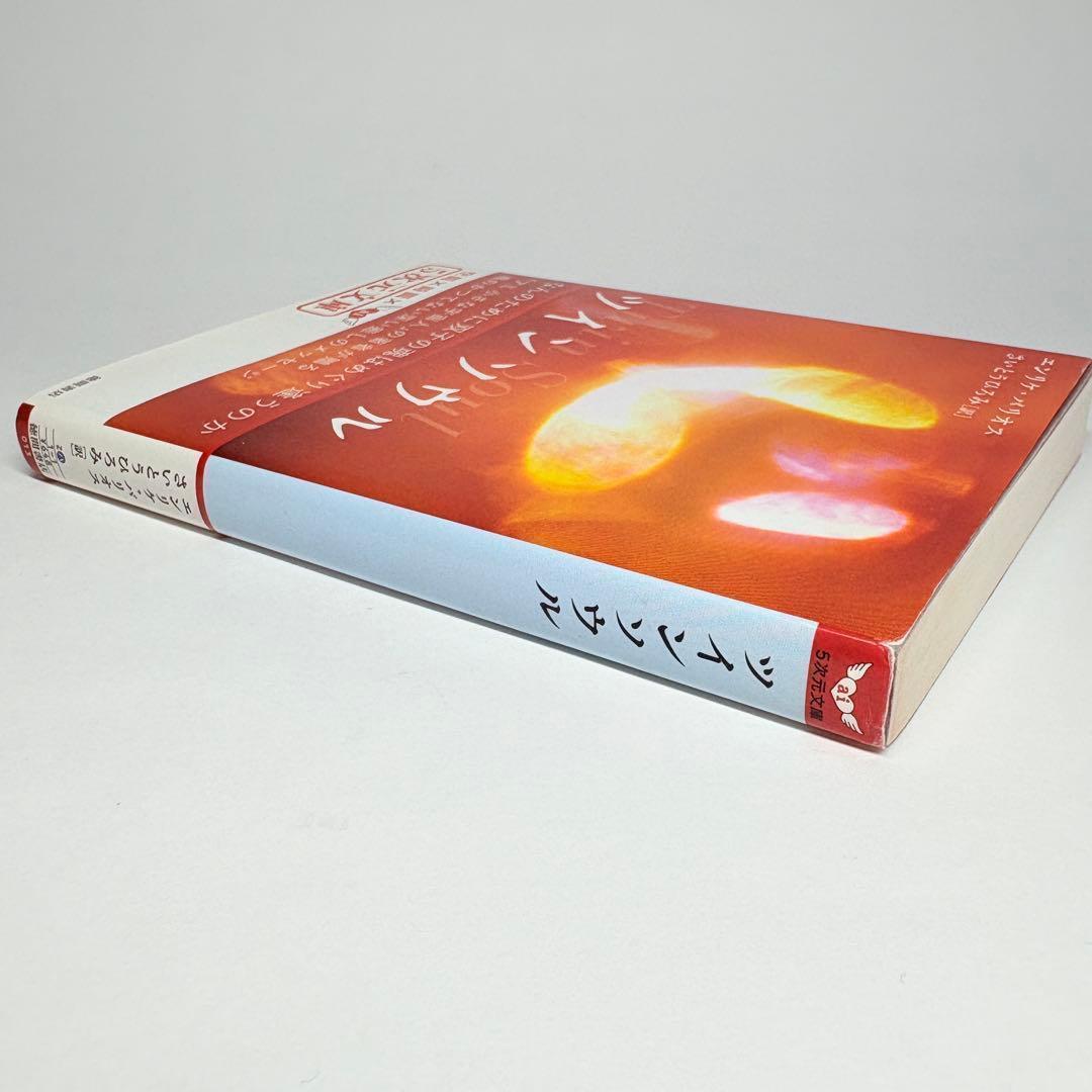 【2冊】アミ小さな宇宙人 ツインソウル エンリケ・バリオス 文庫版 さくらももこ