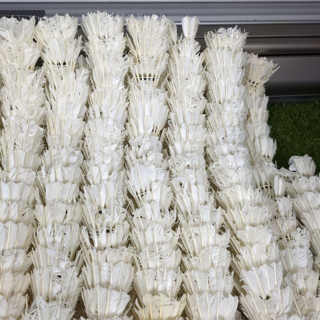 バドミントン 中古シャトル 645球 野球トスバッティング テニス ノック