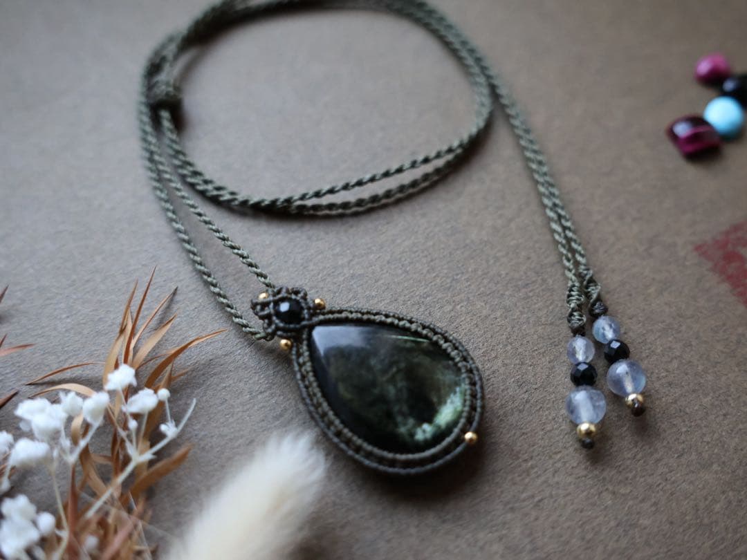 でんちゃん 11/8