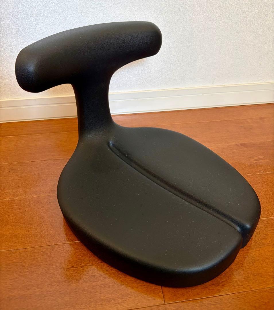 ayur chair アーユルチェアー ブラック