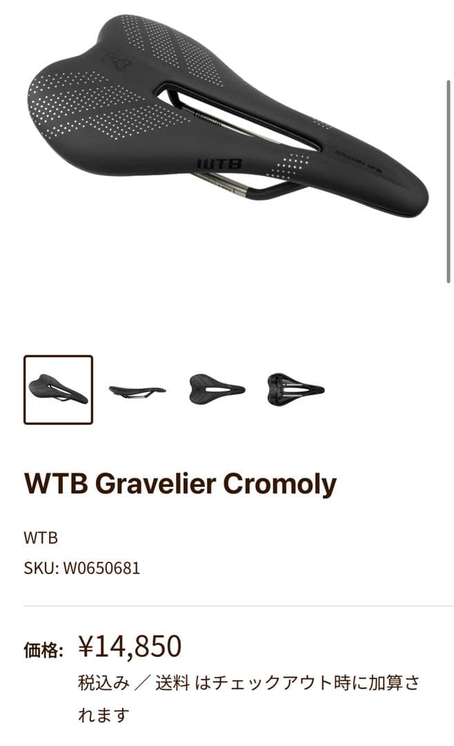 WTB Gravelier Cromoly サドル