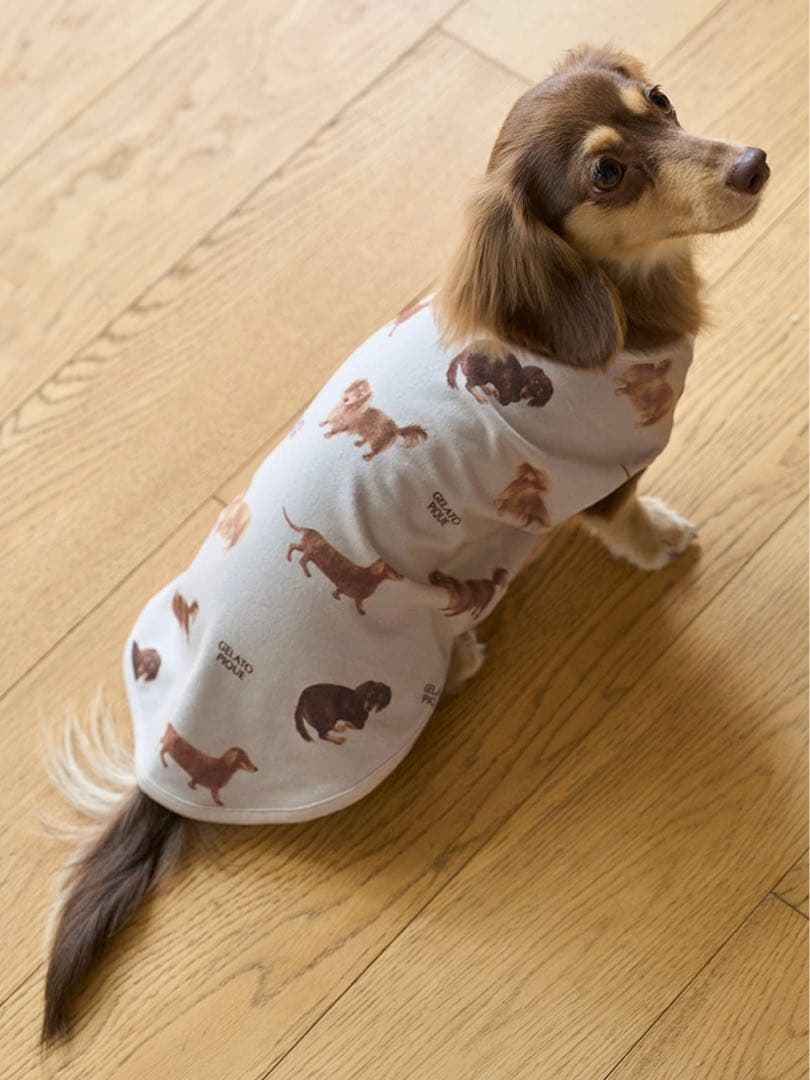 ジェラートピケ ダックスフンド柄プルオーバー Lサイズ - メルカリ