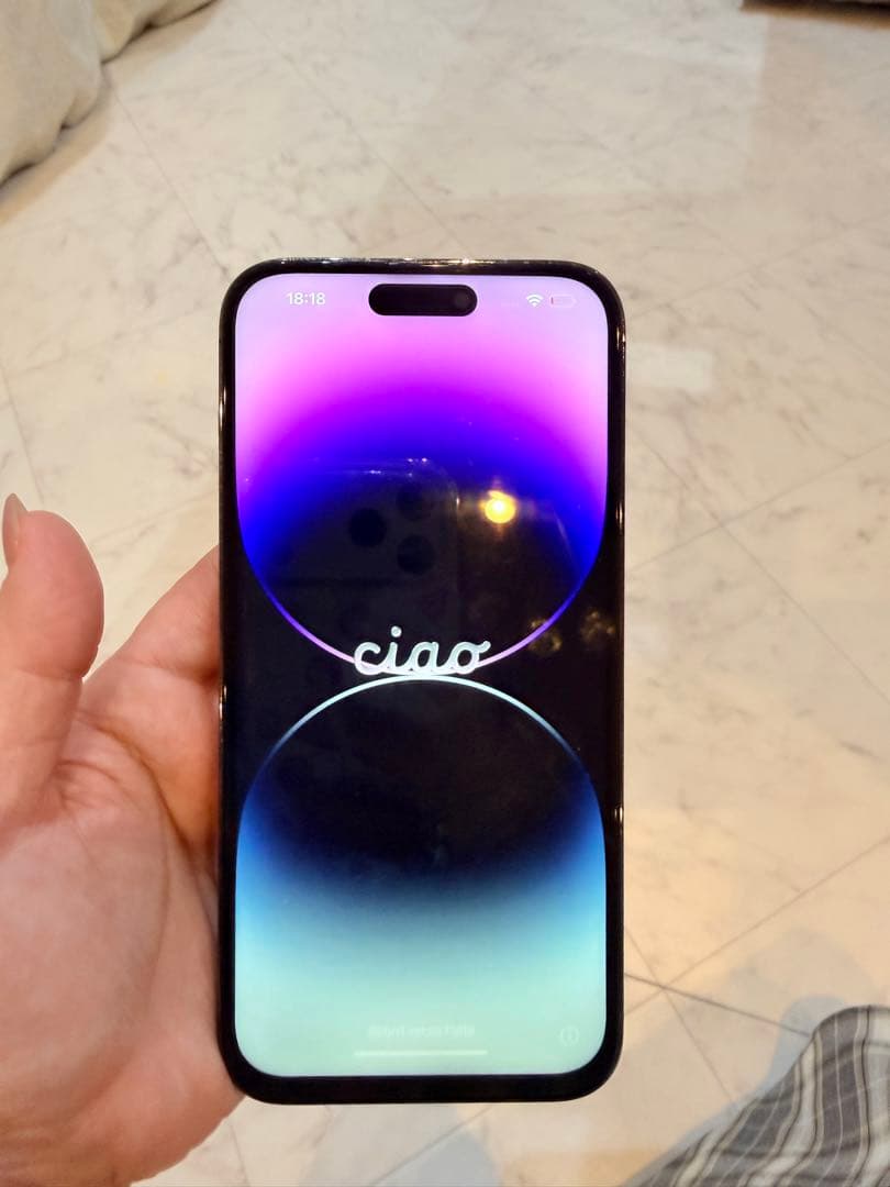 iPhone 14 pro ジャンク