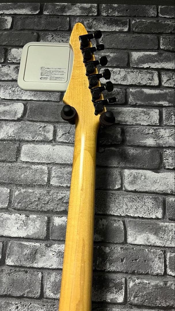 Aria pro Ⅱ エレキギター magna シリーズ