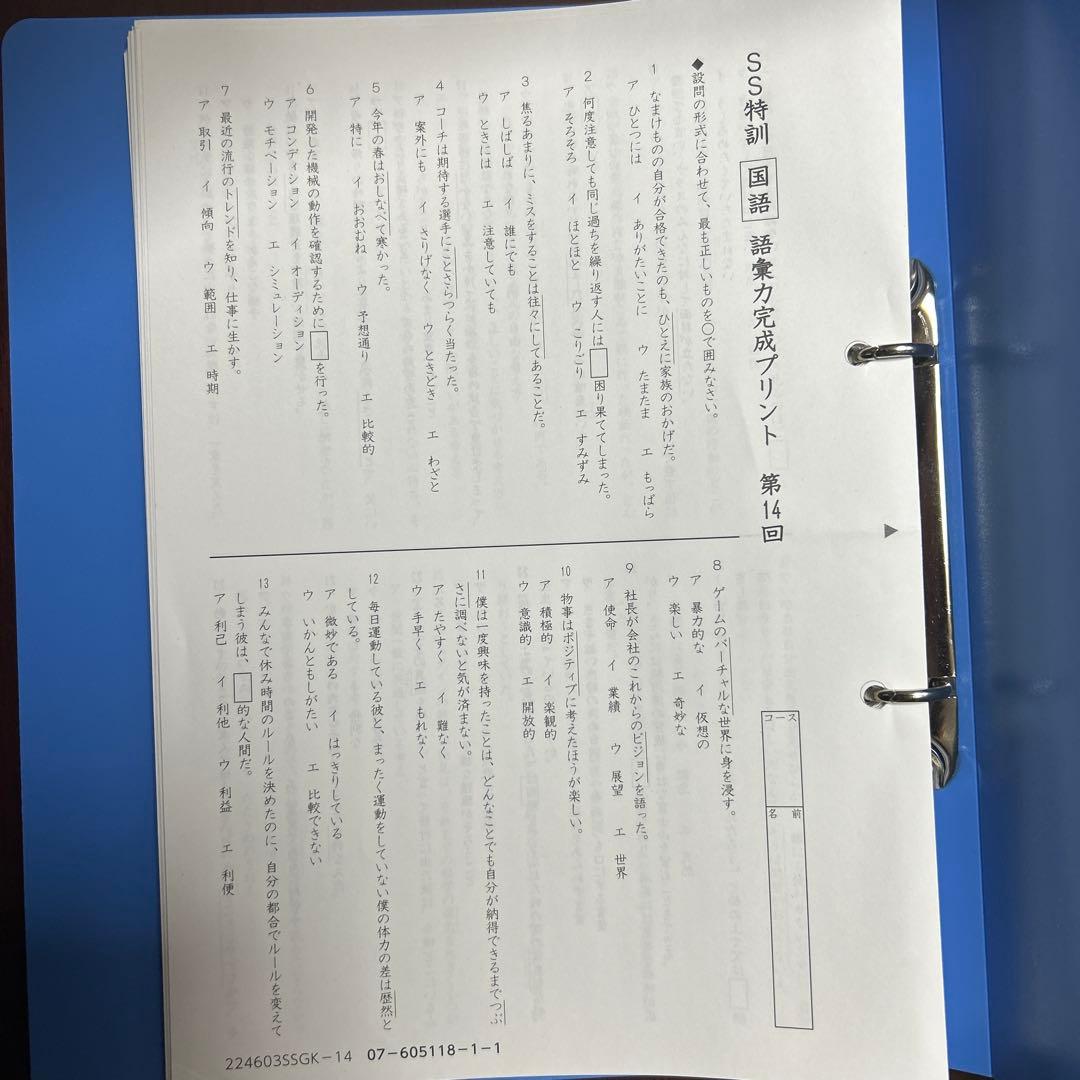 ㉔か　大変重宝　SAPIX SAPIX 語彙力強化プリントファイル 総仕上げ❣️