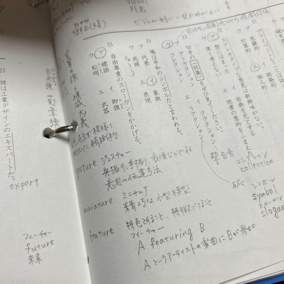 ㉔か　大変重宝　SAPIX SAPIX 語彙力強化プリントファイル 総仕上げ❣️