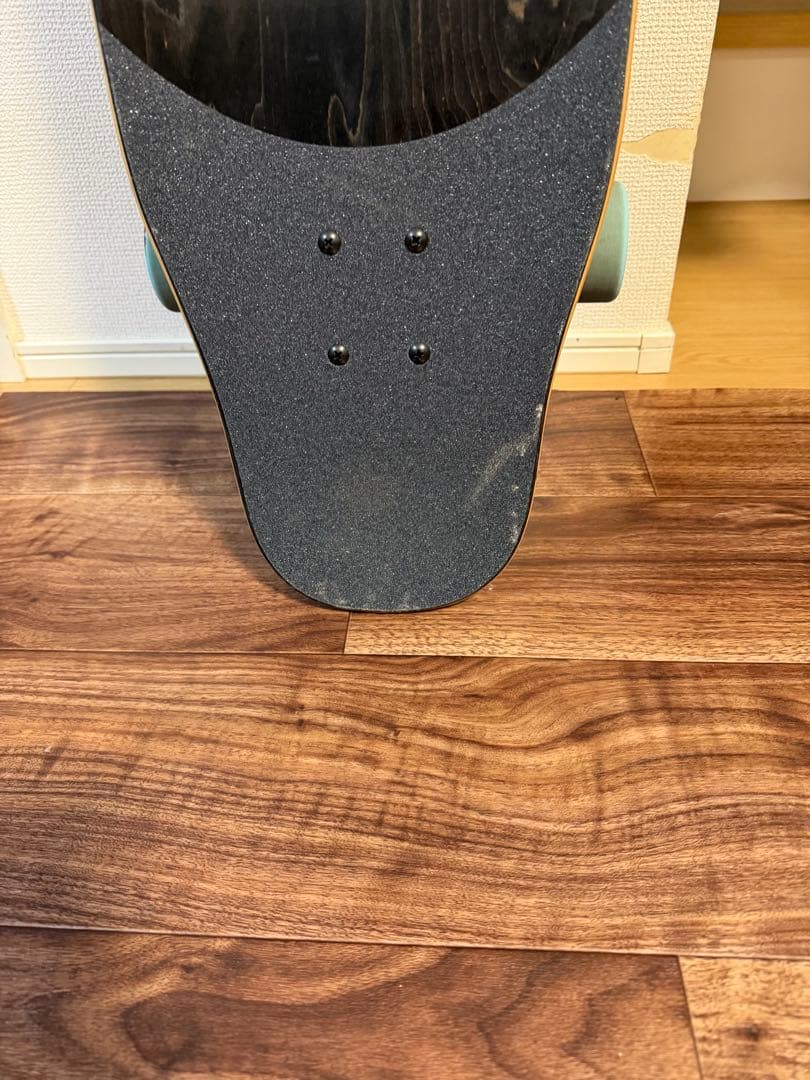 LANDYACHTZ ロングスケートボード