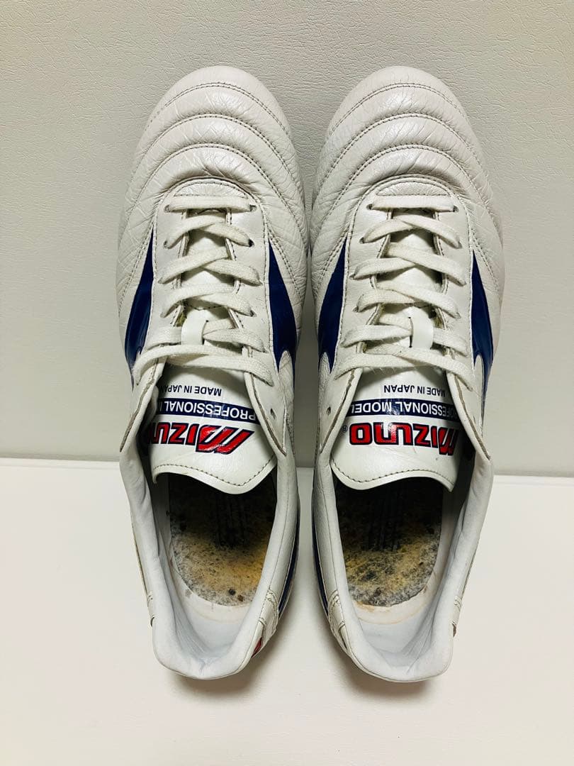 【美品】限定カラー　モレリアII Japan 26.5cm