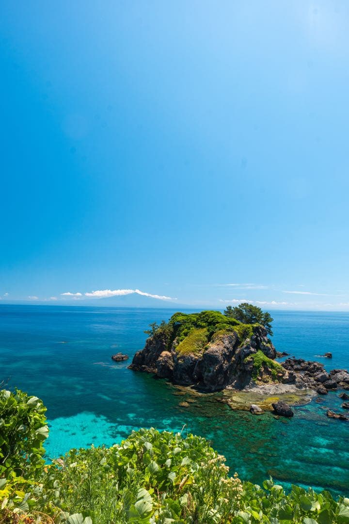 LUMIX S 20-60mm ズームレンズ Lマウント