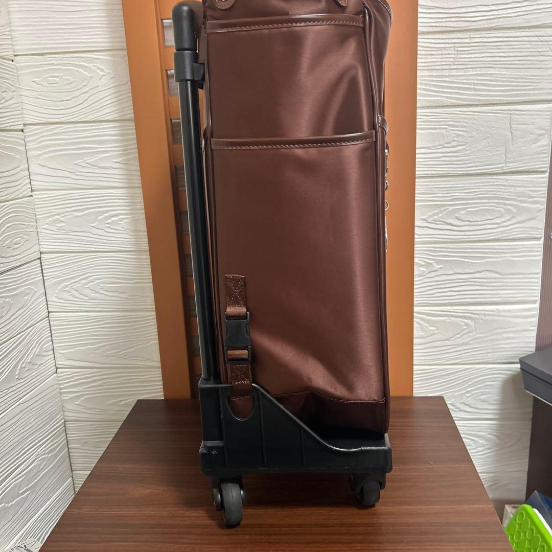 新品未使用　スワニー　ブリル お買い物キャリー 日帰り　キャリーバッグ　18L