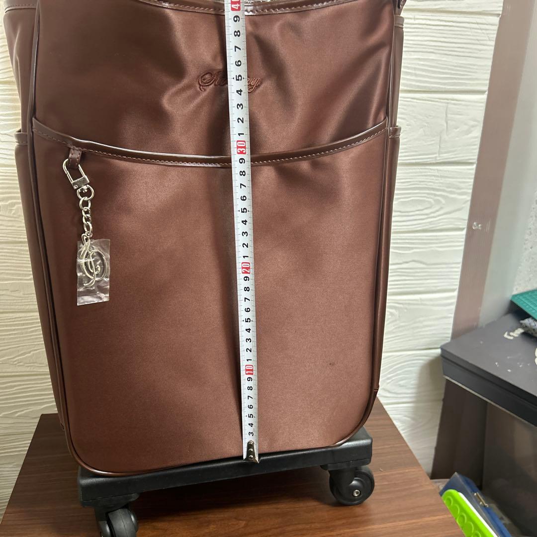 新品未使用　スワニー　ブリル お買い物キャリー 日帰り　キャリーバッグ　18L