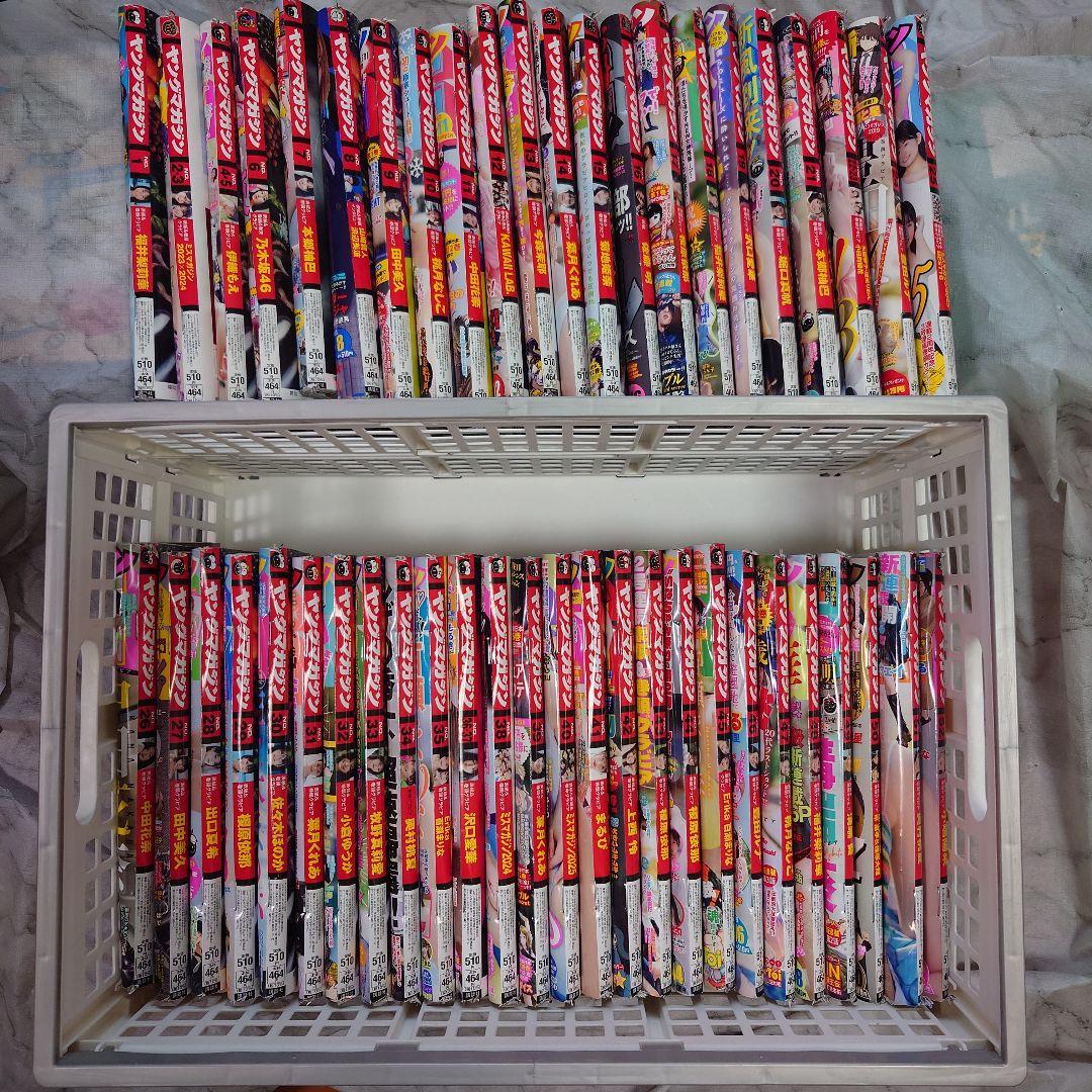 2025年 ヤングマガジン 全巻セット 1〜52 1年分 ヤンマガ 全冊 48冊