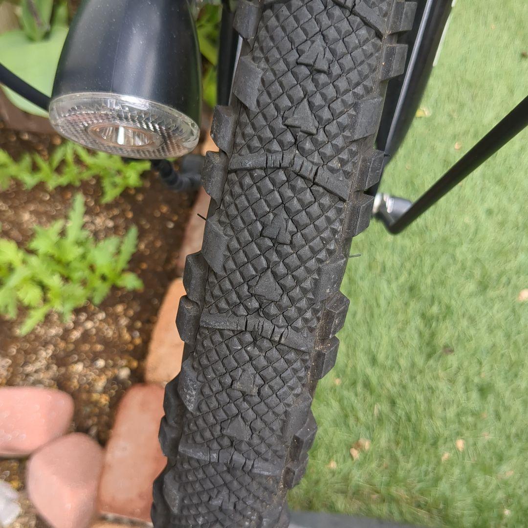 20インチ 外装6段変速オートライト 付属時計バンド有 キックボード