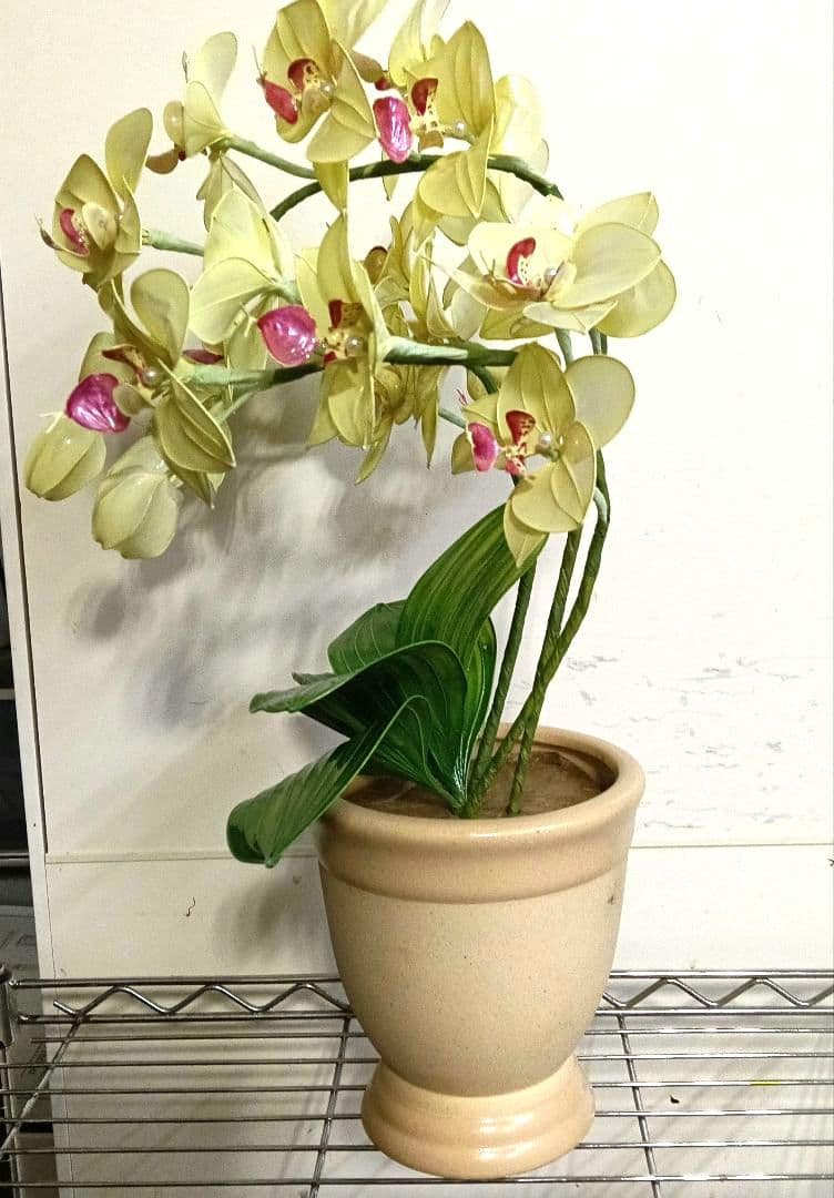 アメリカンフラワー　ディップフラワー　花瓶付　アレンジフラワー　胡蝶蘭