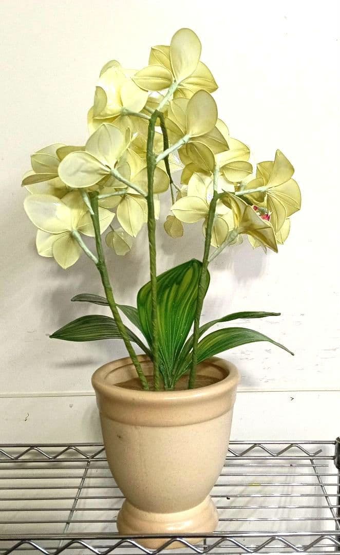 アメリカンフラワー　ディップフラワー　花瓶付　アレンジフラワー　胡蝶蘭