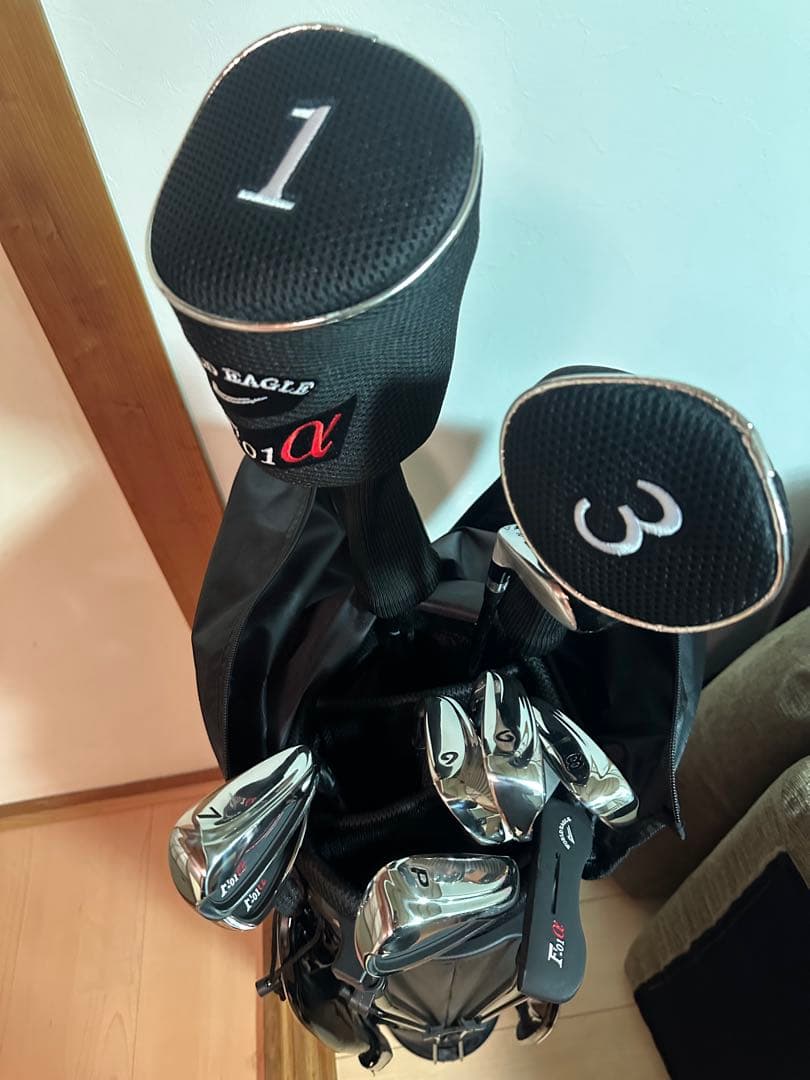 【使用1回】WORLD EAGLE F-01α ゴルフクラブセット