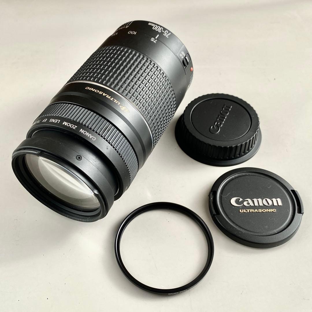 【極上美品】Canon EF 75-300mm F4-5.6 III USM