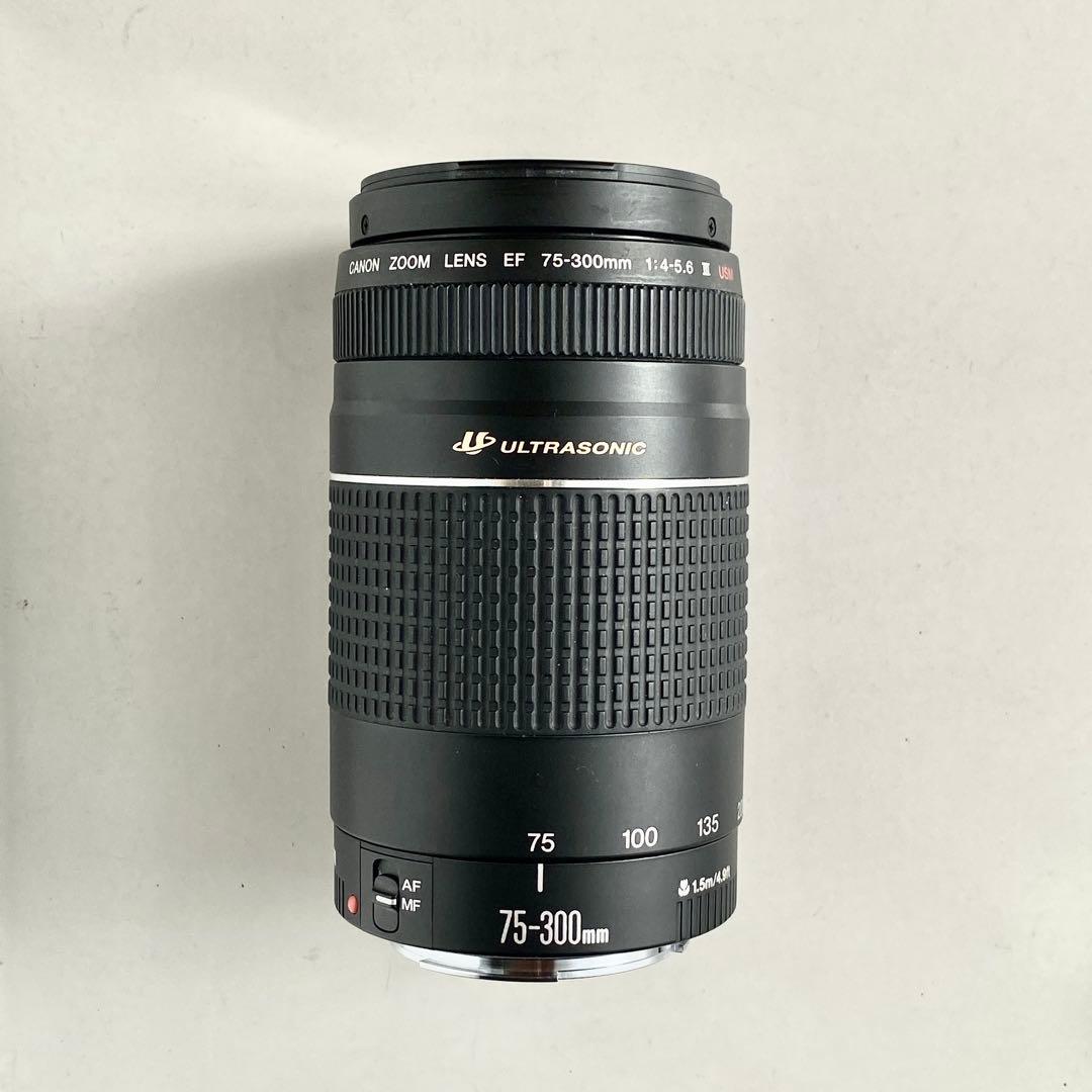 【極上美品】Canon EF 75-300mm F4-5.6 III USM