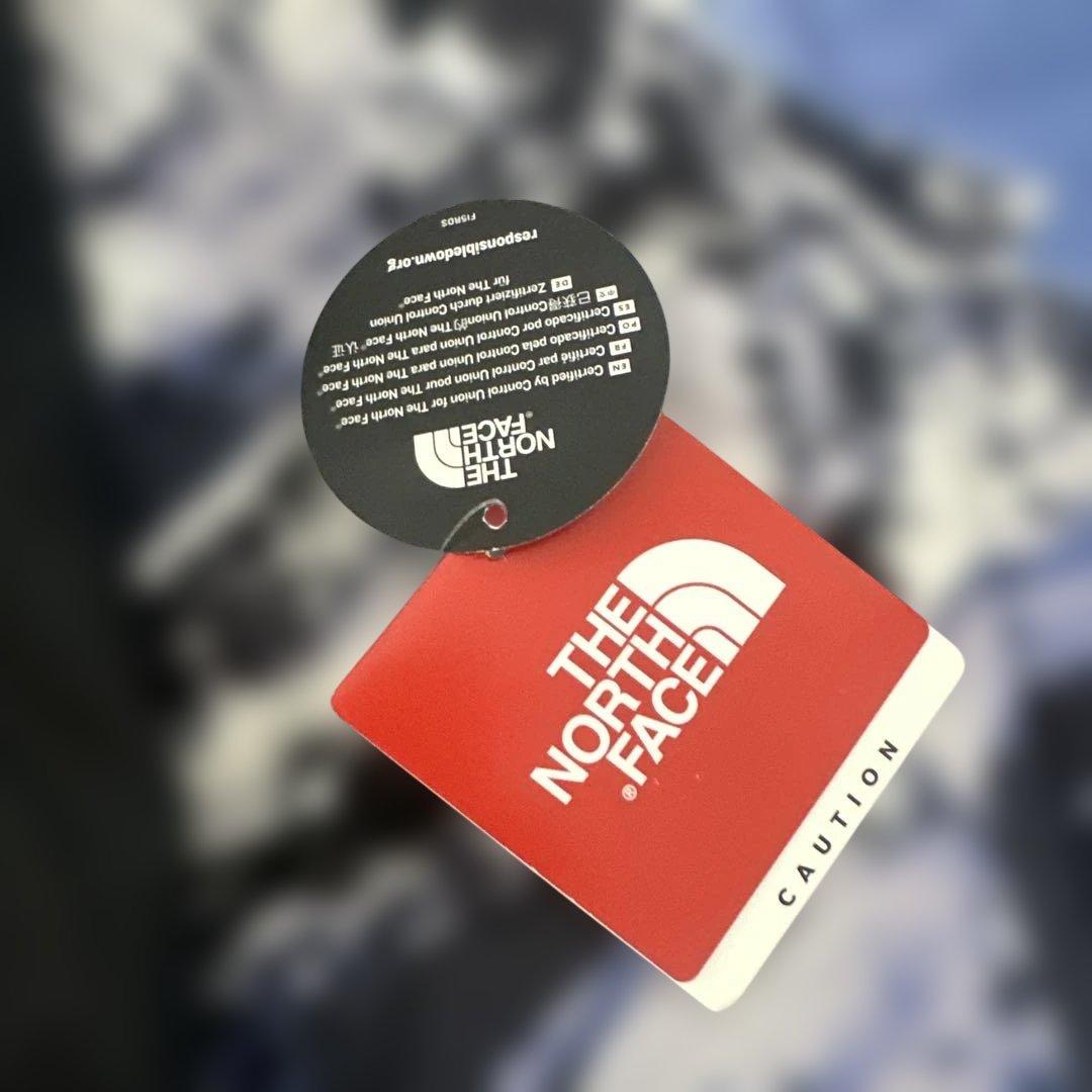 Supreme × The North Face ヌプシブランケット