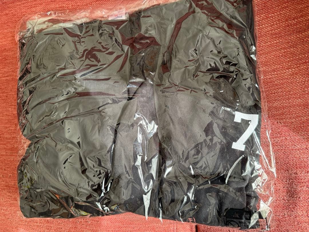 A'zさま専用　ヤクルトスワローズ　パーカー