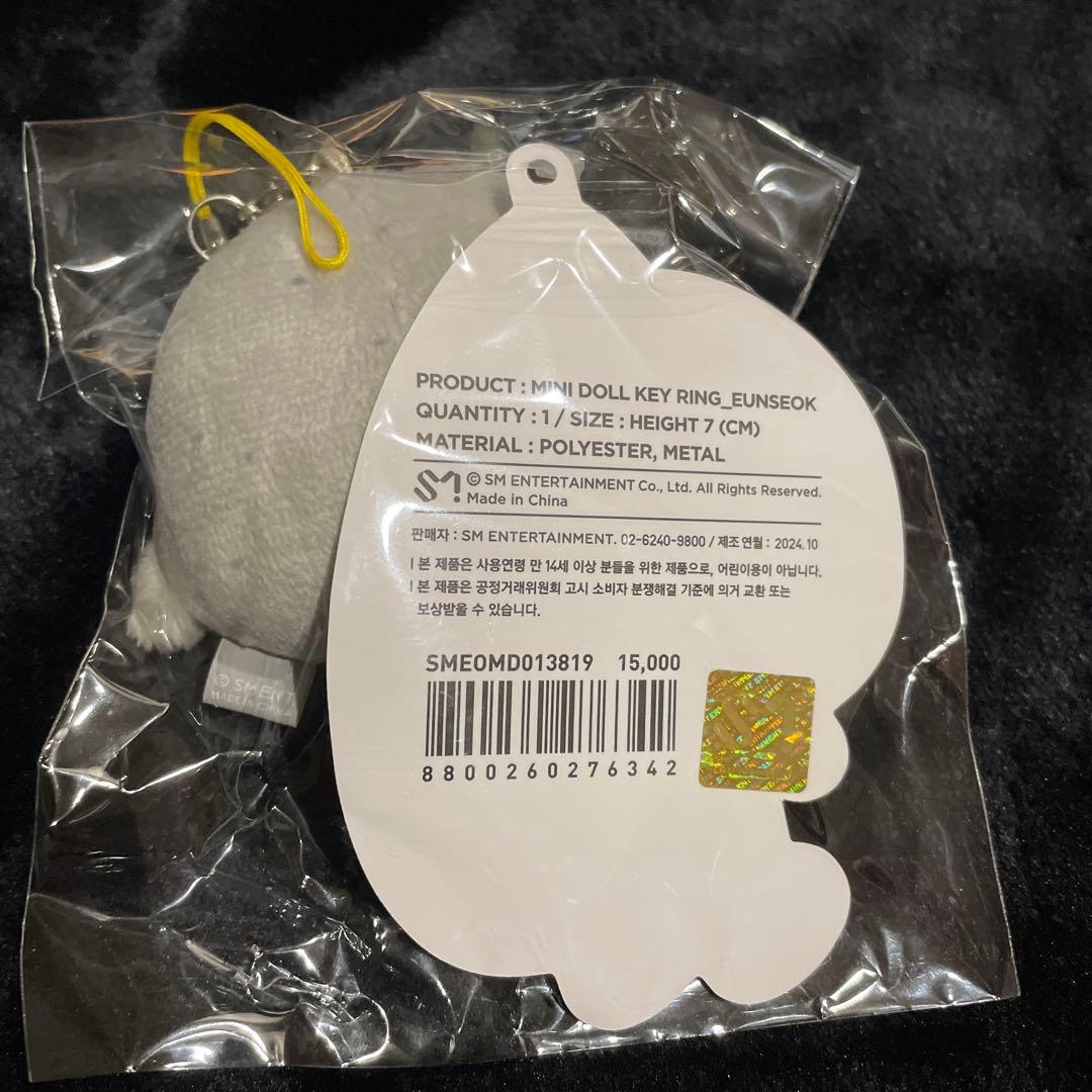 新品未開封】 RIIZE ウンソク ソンヨンドリ ミニドール キーリング