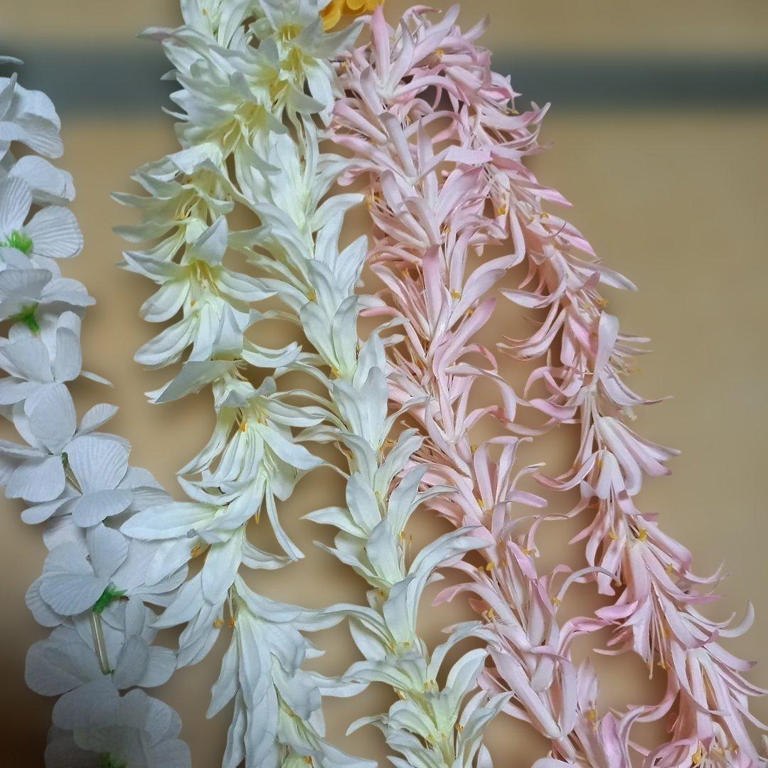 フラダンス用レイセット 20種類