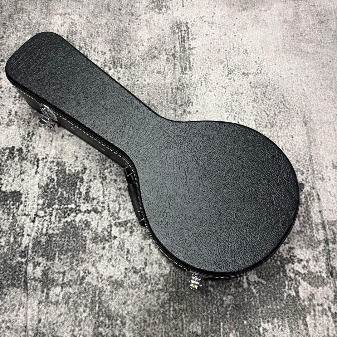 エレキマンドリン Aria AM-20E ピックアップ搭載 ケース2個付き