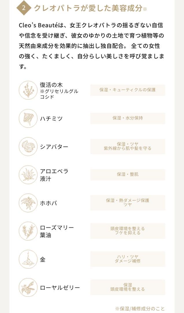 2点セットcleo's beaute クレオズボーテ シャンプー トリートメント