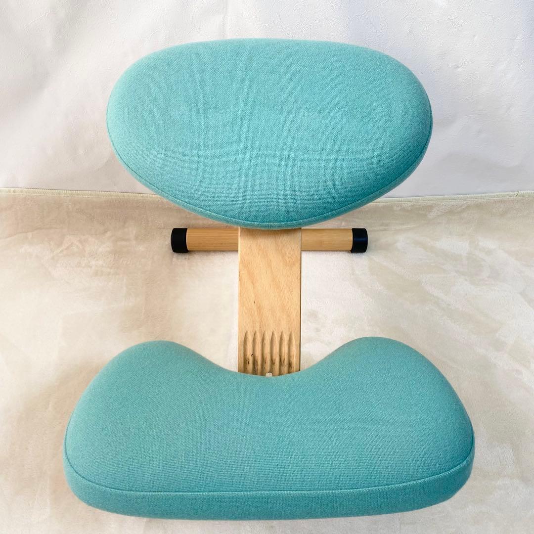 ローラー付き　Rybo リボ社 バランスイージー バランスチェア サカモトハウス