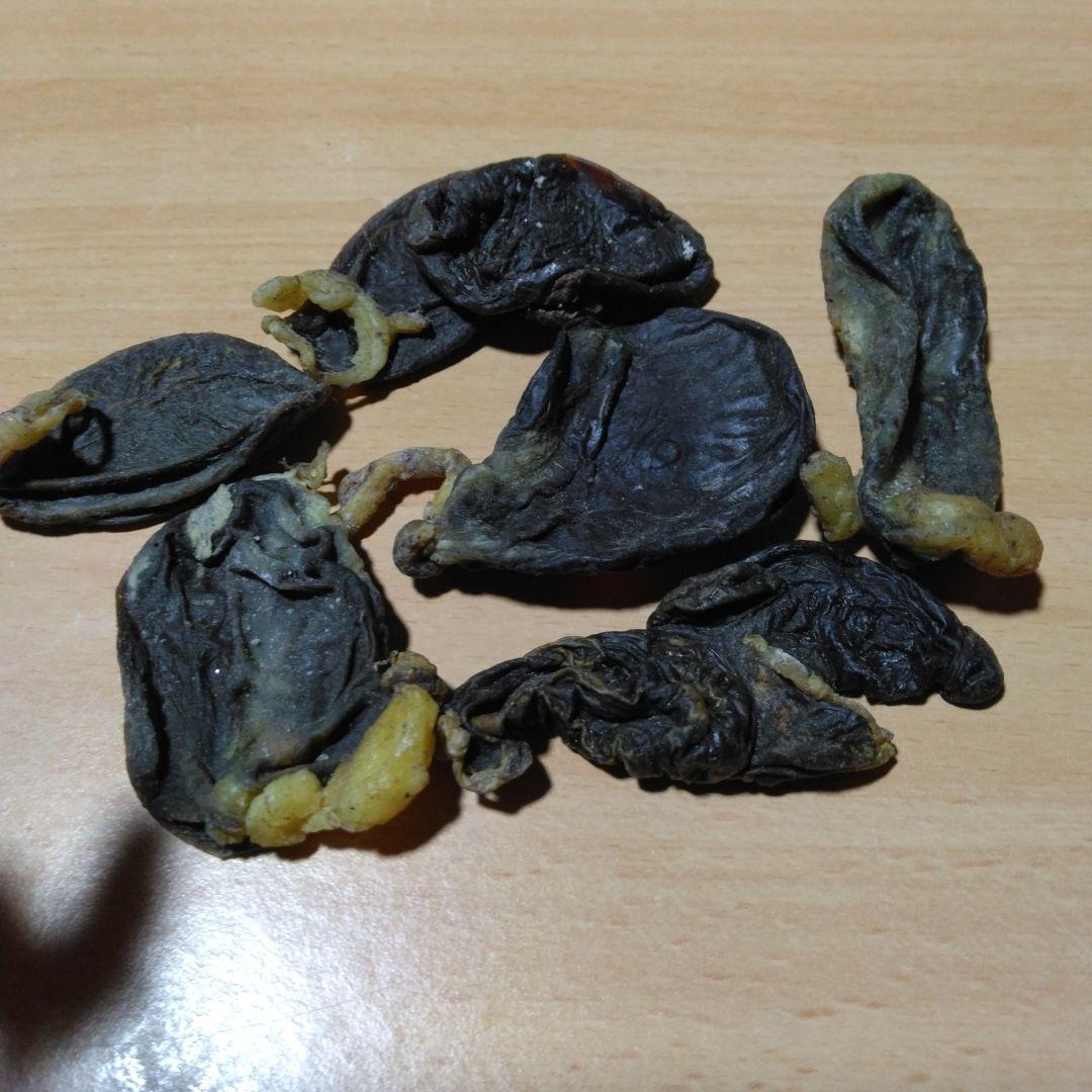 猪 胆嚢 猪の胆のう - メルカリ