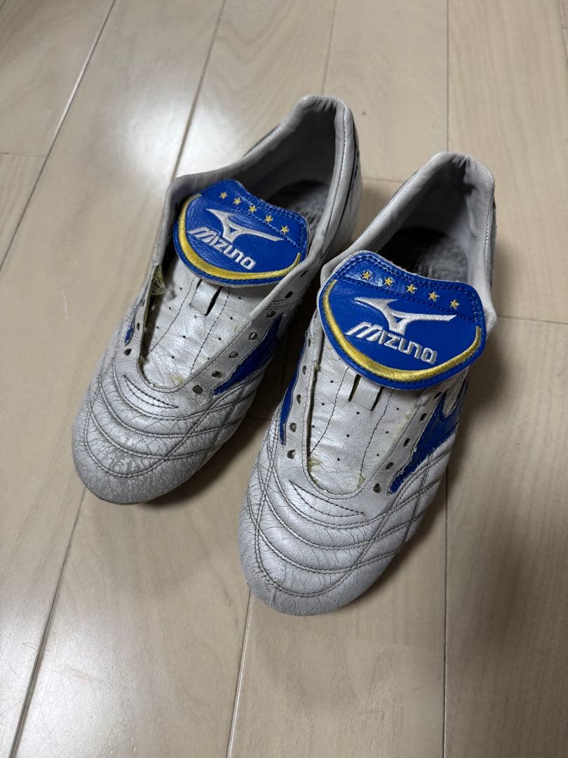 mizuno ウェーブカップレジェンド 25.0cm