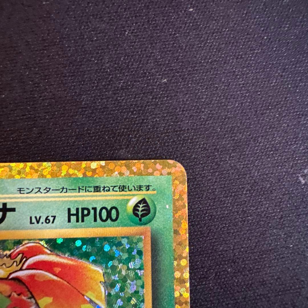 フシギバナ プロモカードパック 25th ANNIVERSARY editio…