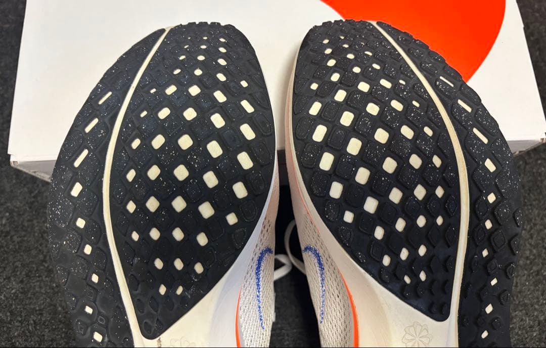 Nike ペガサス 41 ブループリント 極美品【28.0cm】Pegasus