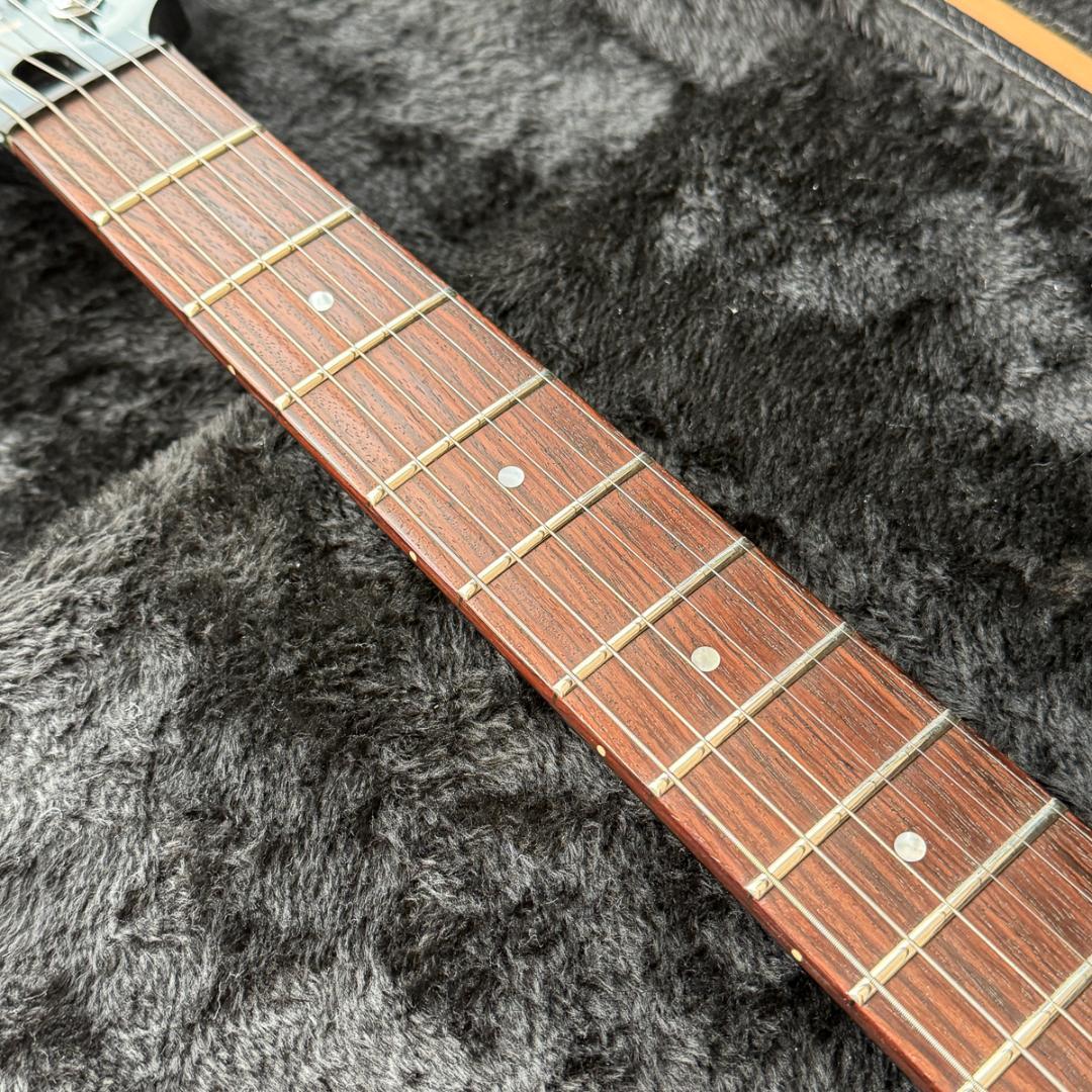Fernandes APG-DLX JPC フルモードサスティナー 24フレット - メルカリ