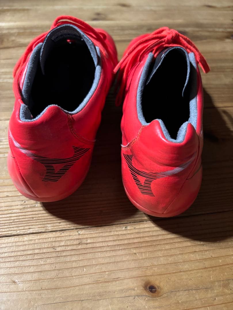 ミズノ　レビュラカップジャパン