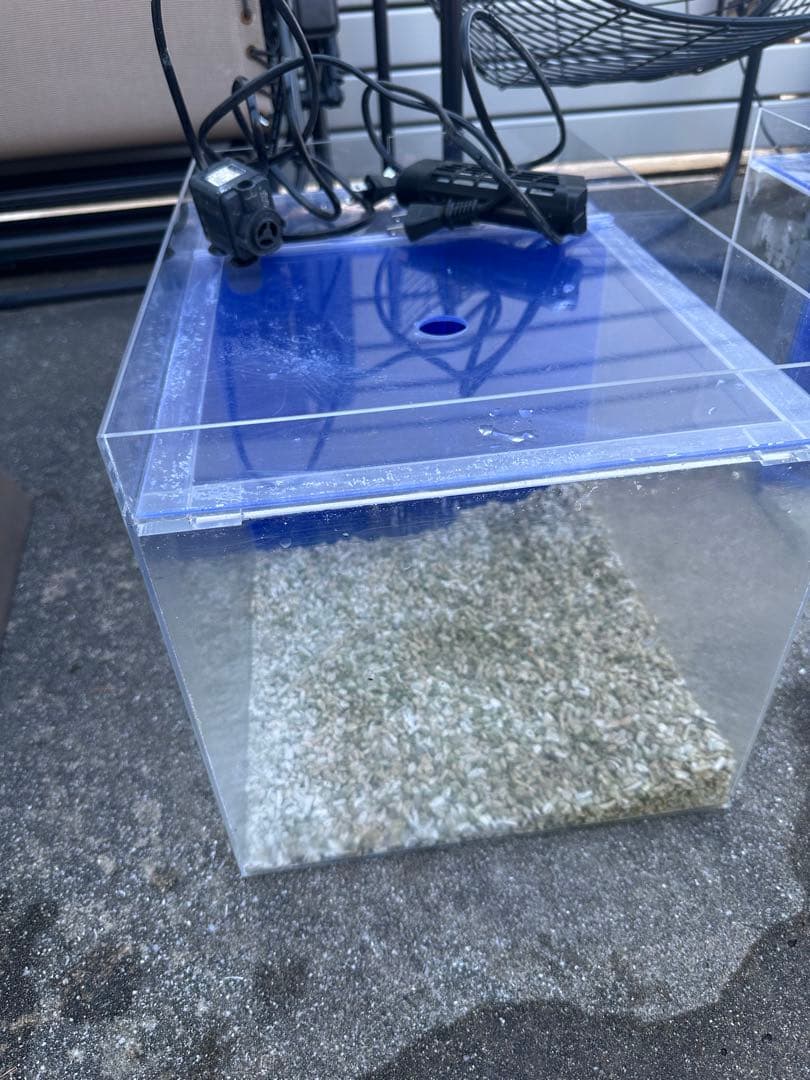 【bj74】かんたん槽　水槽　日海センター　NK45 中古 海水魚用