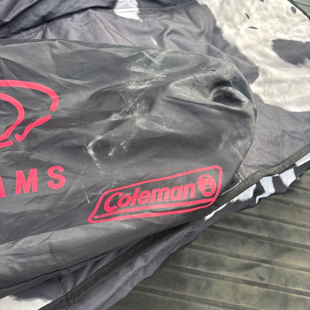 希少　Coleman BEAMS ハラコ柄 ダブルローチェア　アウトドアチェア