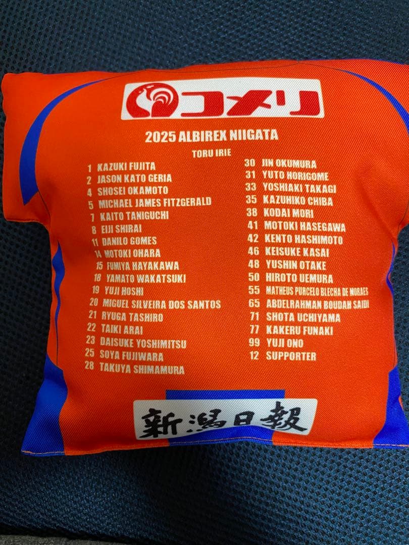 アルビレックス新潟 高木善朗 直筆サイン入り クッション - メルカリ