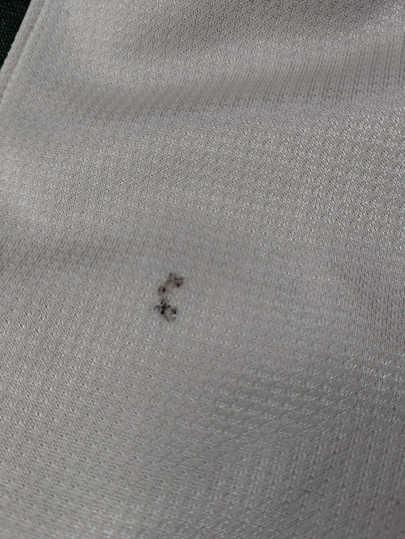 入手困難　adidas ジャージ上下セット 　ベージュ　緑