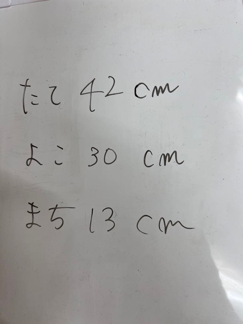 ステラマッカートニー奈良美智コラボ新品未使用リュック