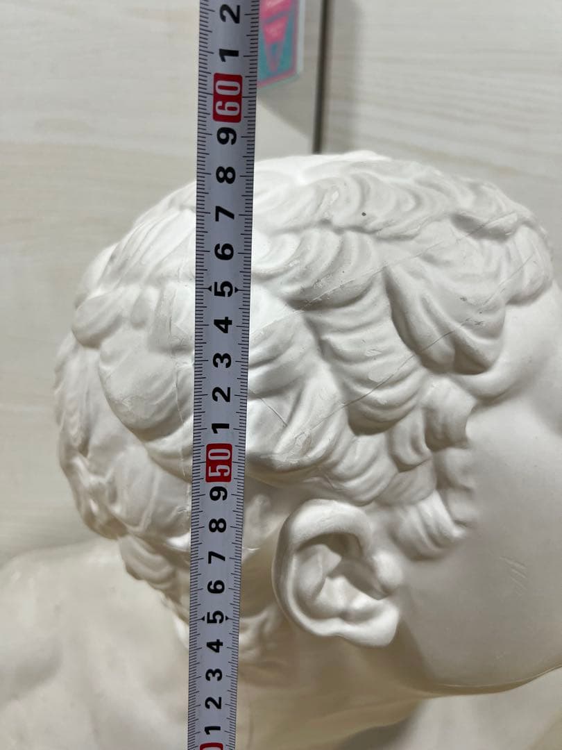 石膏蔵 ボルゲーゼの闘士 美術品 胸像 デッサン 美大