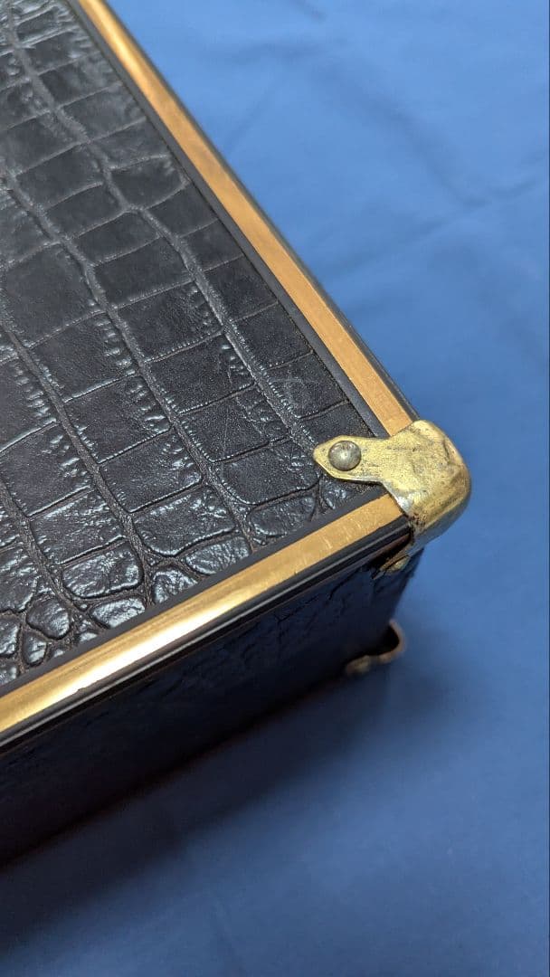 沖縄三線 本蛇皮強化張り 池武当新垣三線店 ハードケース付き 付属品多数