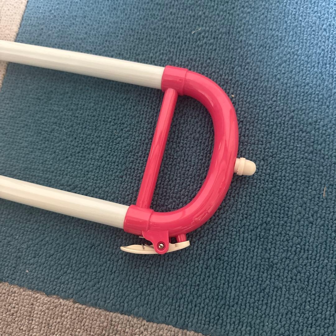 W*d様 トロンボーン プラスチック ピンク＋ケース、オイル 値下げ可能